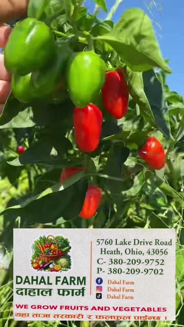 @B.A Organic Farm(380)209-9752