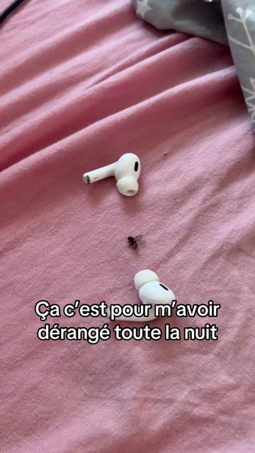 @Jpxfrd