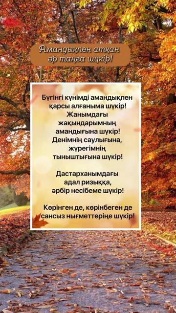 @aray_dinasil