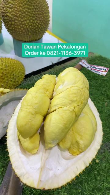 @Rumah Tamma Durian