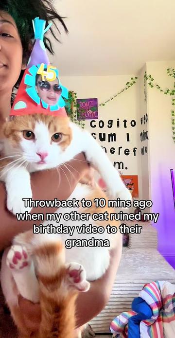 @Mia Astrel