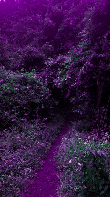 @DarkSpaces