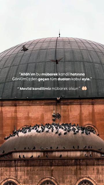 @MehmetDOGAN