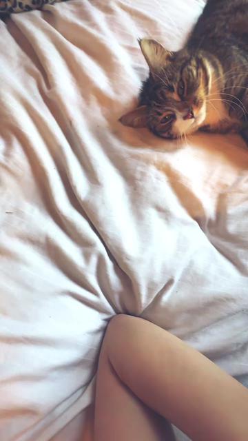 @meow baby boo📷