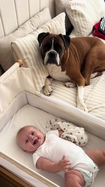 @Arthur, Reggie & Bruno