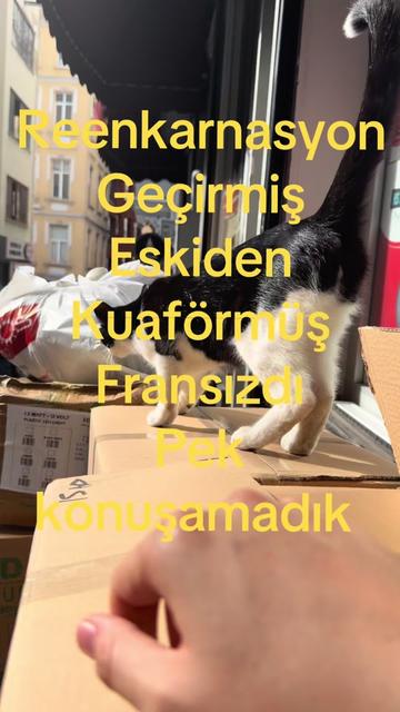 @adakTASAK