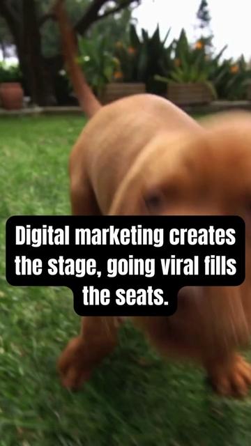 @Digital Marketing Pros ✨