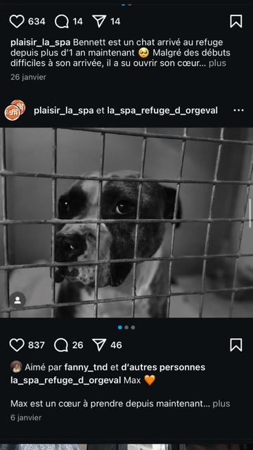 @urgence.annonce