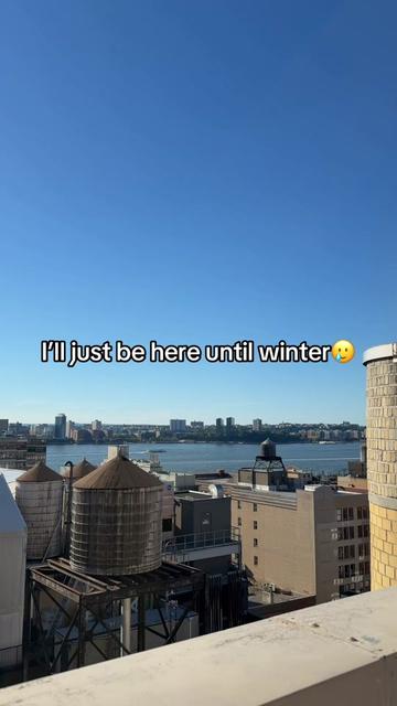@rotembasson