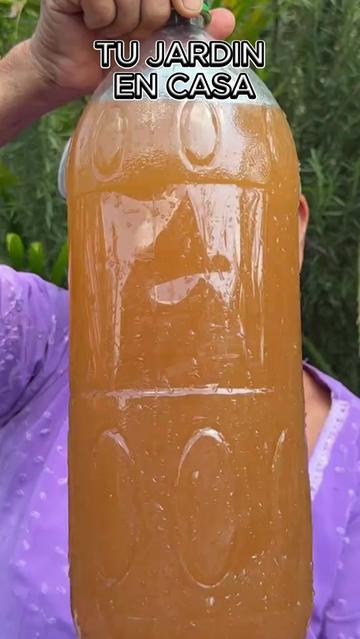 @Tu jardín en casa