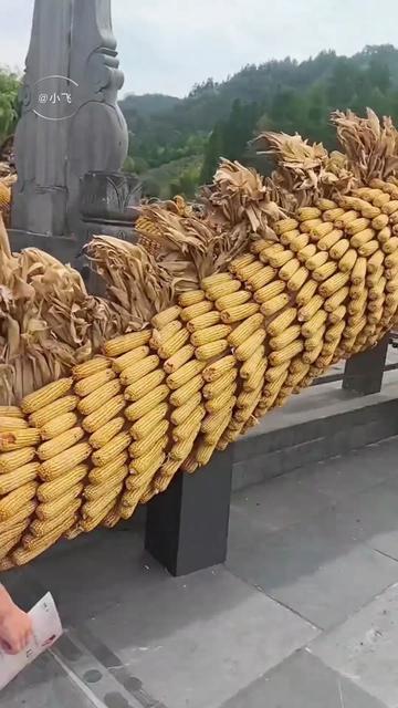 @小飞