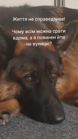 @МАТЬ ДРАКОНІВ🤣