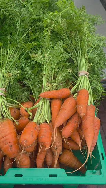 @DelaterrePermacultureFarm