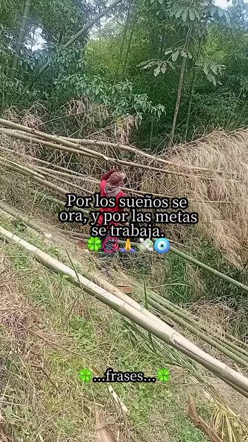 @Jos&eacute; Orlando
