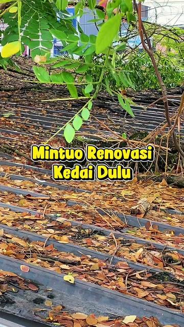 @Lontong Mintuo