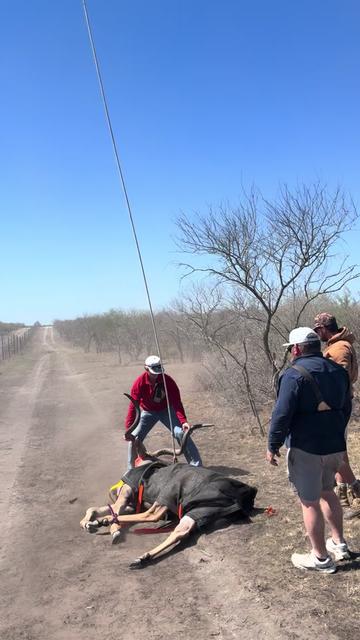 @WildLife Partners
