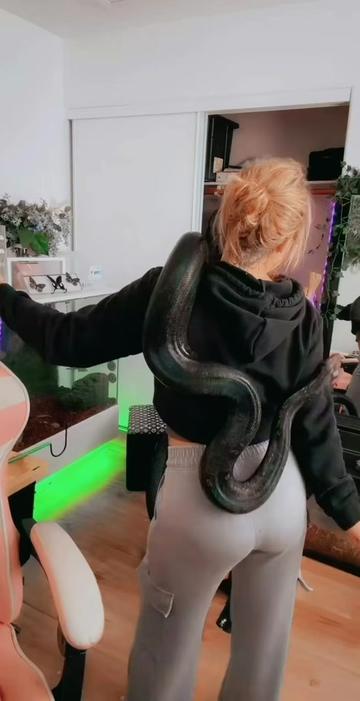 @Medusa Exotics
