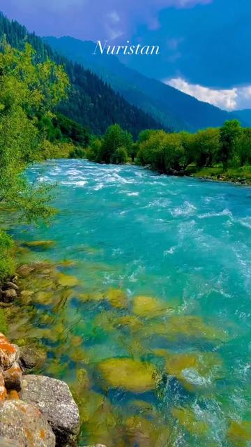 @Tayeebullah Hamdard
