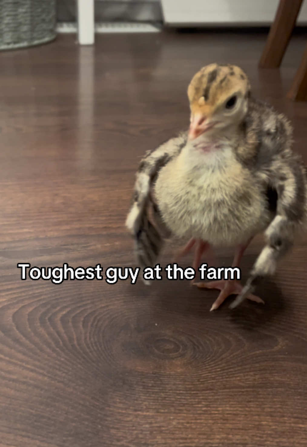 @Pond Side Acres