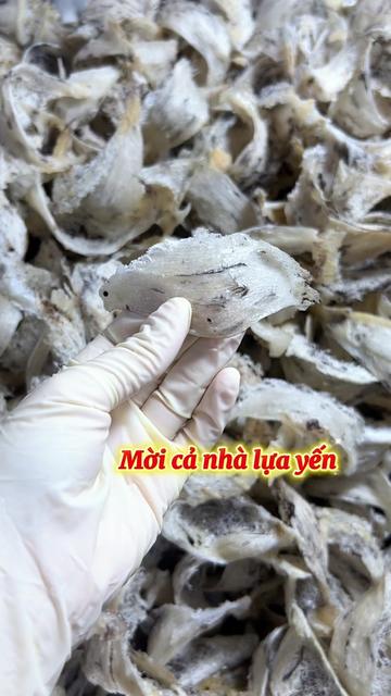 @Yến s&agrave;o Đỗ Thị To&aacute;n