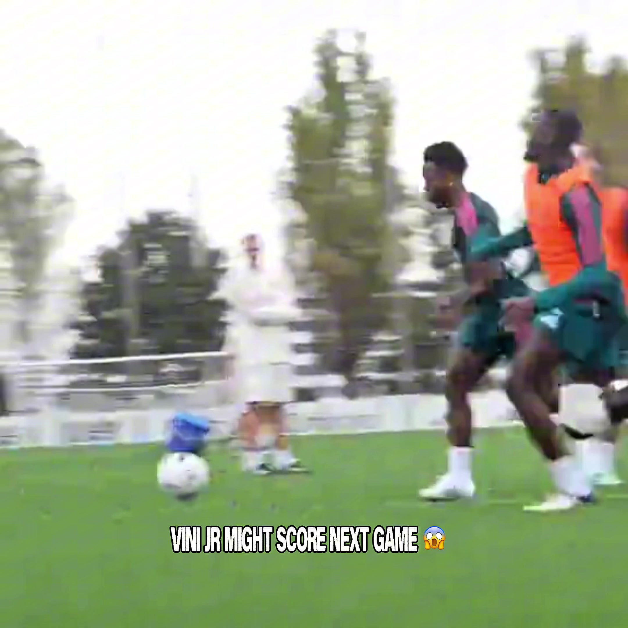 @sᴄ𝟽ᴜᴛ