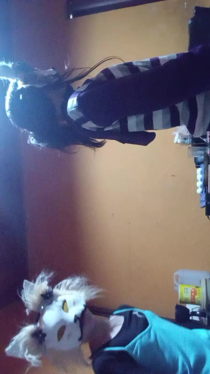 @aguara🐺kit.☆♡