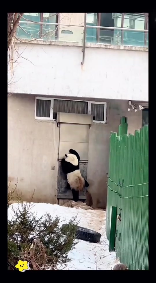 @ショウキンキ