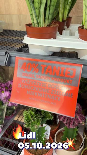 @maciej.plants