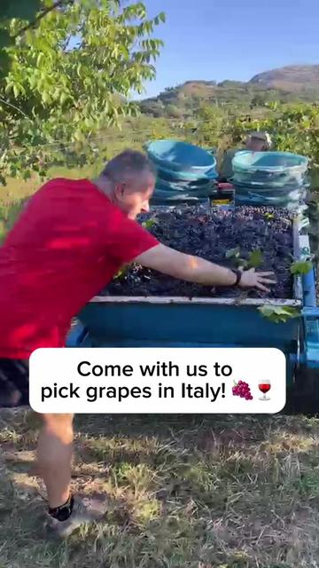 @Maddie and Nonna