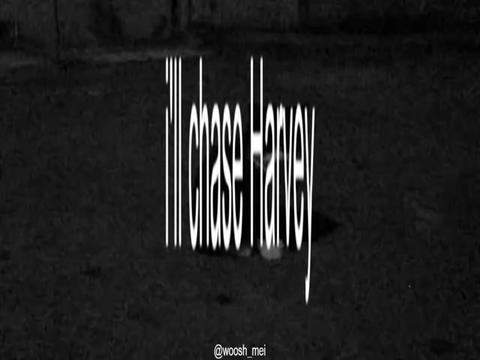 @𝓶𝓪𝓲𝓲✮⋆˙♡