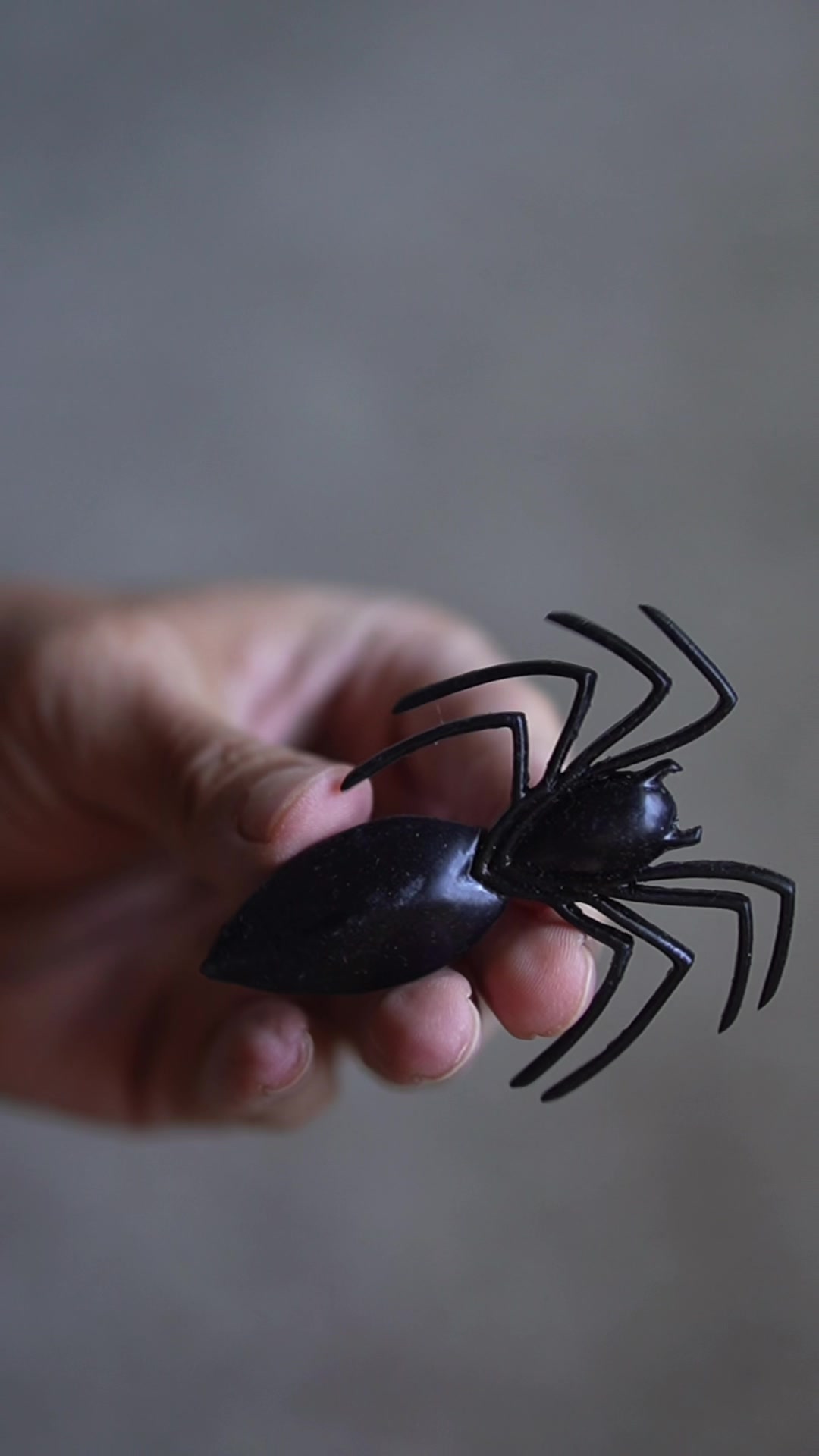@Fun4spidey
