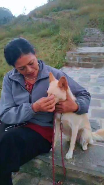 @🇳🇵 Lila Shrestha 🇮🇳