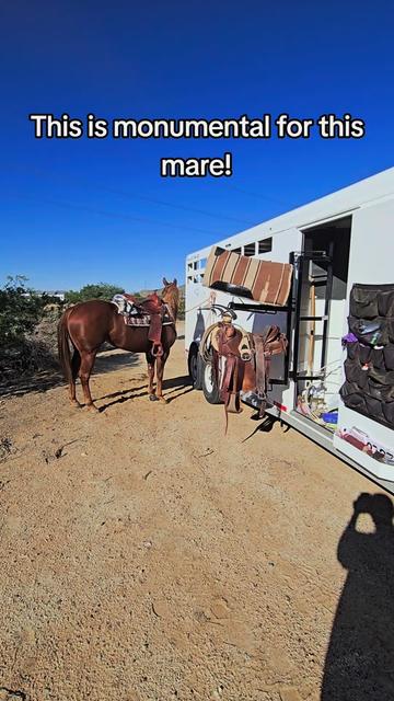 @🐎🐴picture perfect🐴🐎