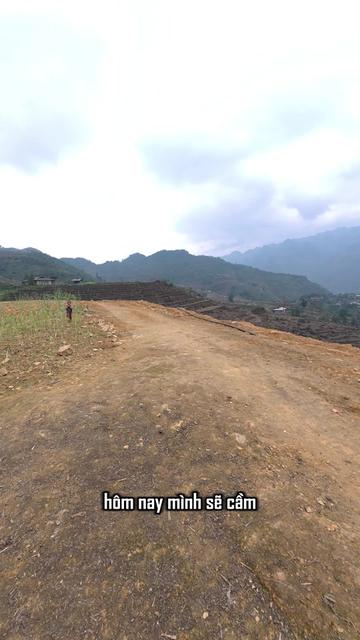 @Tu Phamm