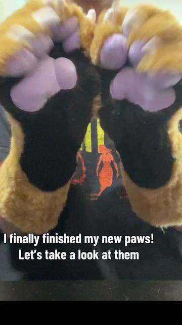 @JudasTheServal