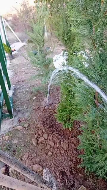 @Duran Karakaş