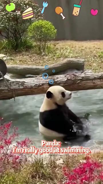 @Petlover_Cats_996