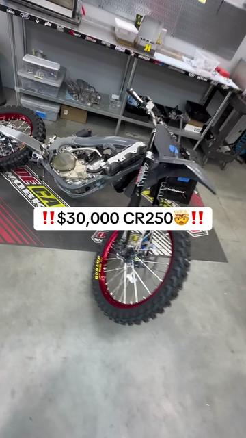 @mXrevival