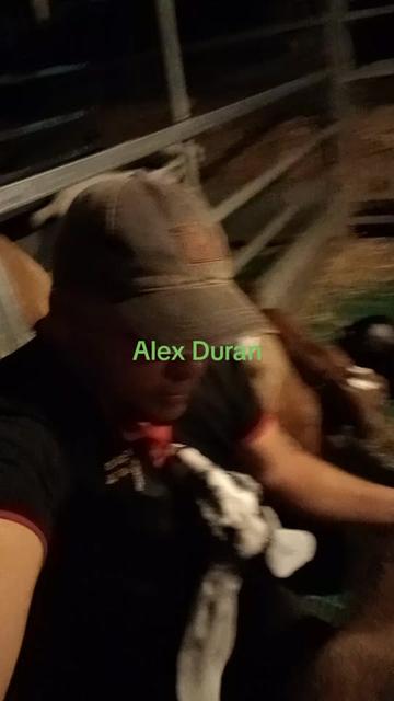 @alexduran7558