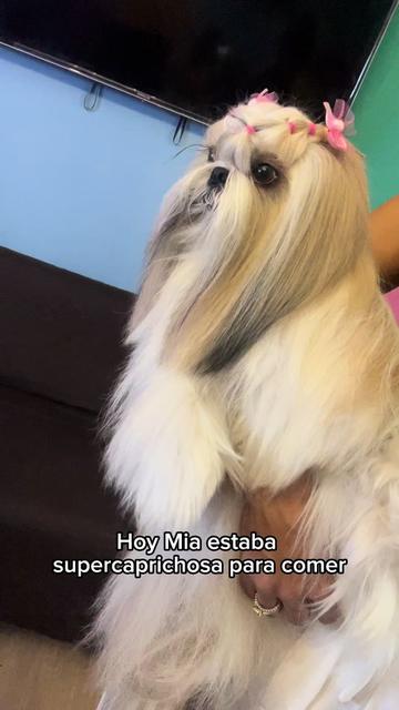 @Daniela Ospina