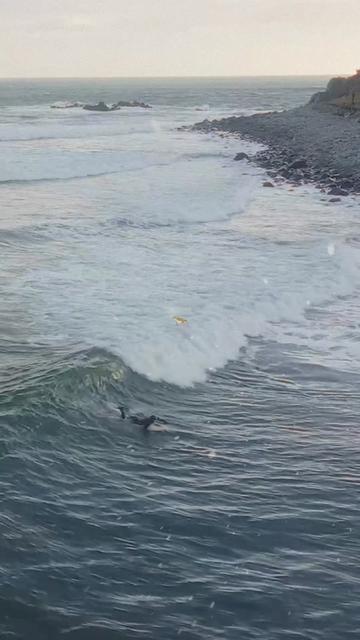 @Nature is Surreal