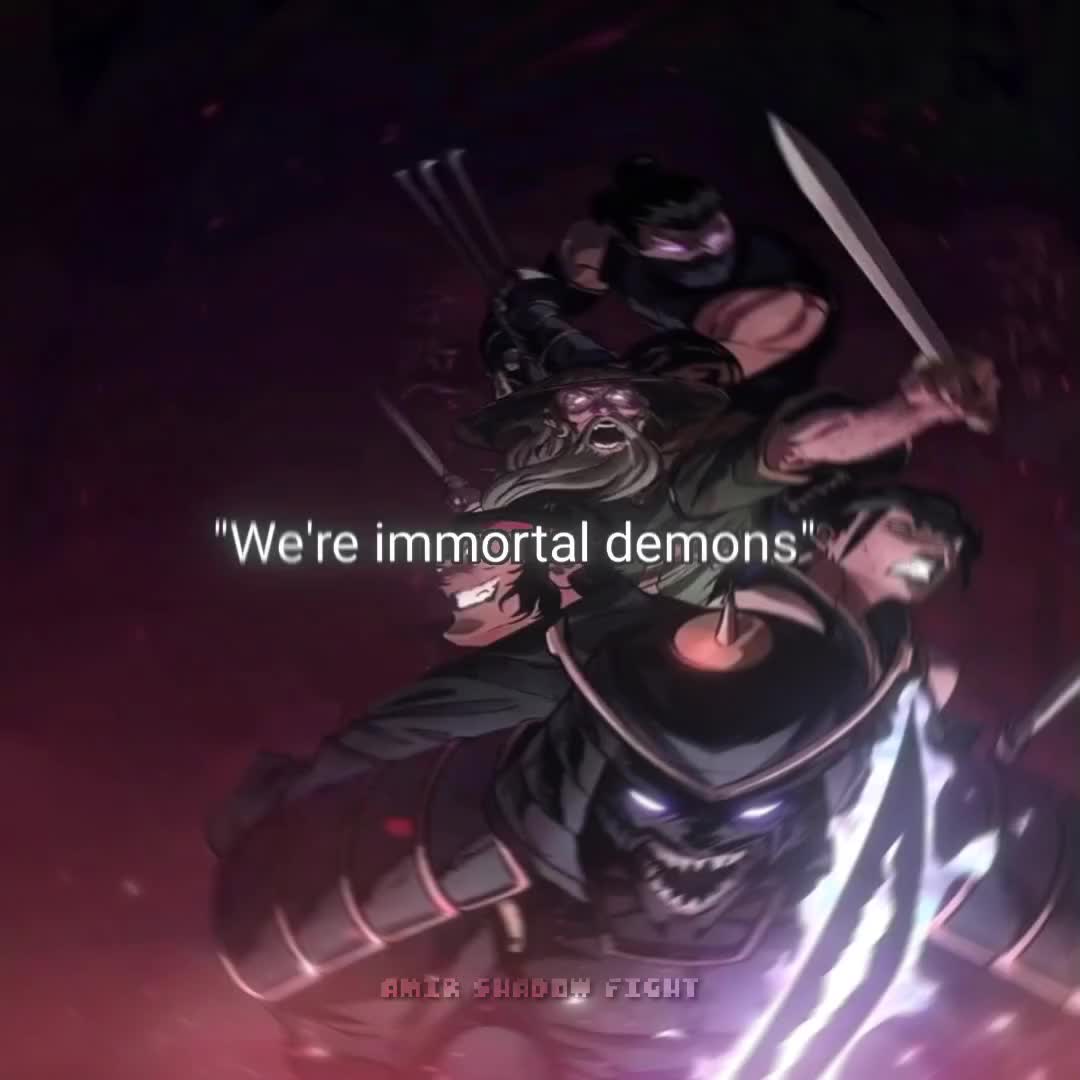 @Amir Shadow Fight