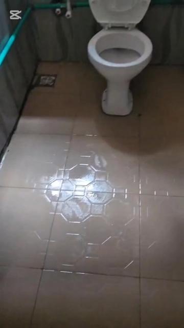 @Tilescleaner Toiletcleaner