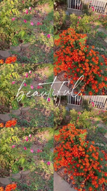 @livingwithpragya