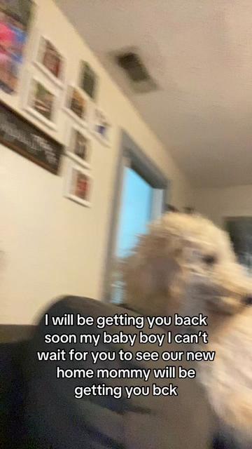 @Brittany🩶