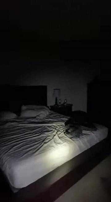 @Found Footage AI