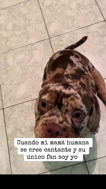 @Ares Santacruz