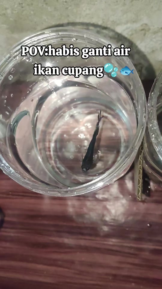 @Adii Rohman