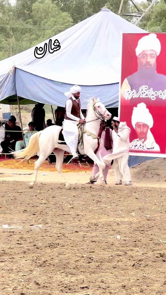 @SUNRISE STUD FARMS RAWALPINDI