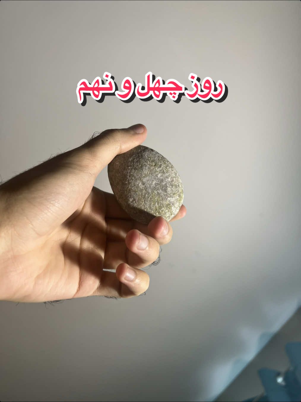 @قلی | یه حیوون خونگی متفاوت